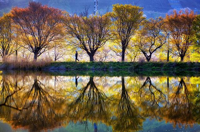 KUMPULAN GAMBAR PEMANDANGAN INDAH DI KOREA Tempat Wisata 