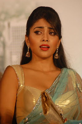 Shriya Sharan photo