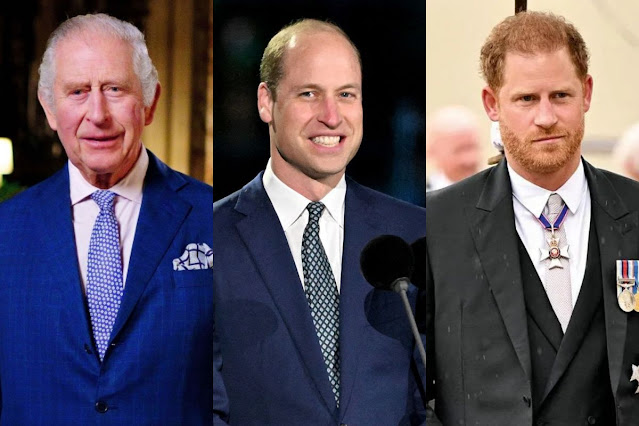 King Charles and Prince William Left Distressed by Harry's Actions Again
