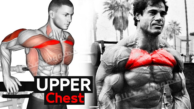 How to develop the upper chest