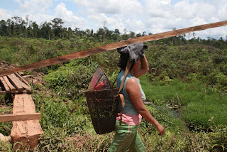  Perempuan desa  Voice of Borneo