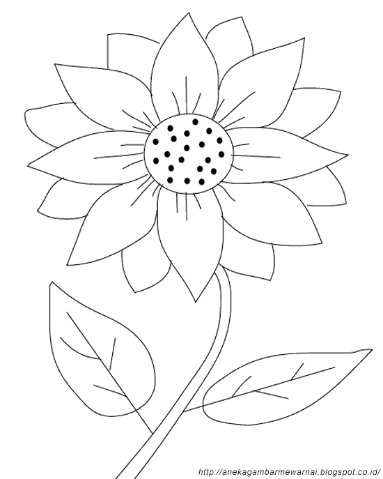  Gambar  Mewarnai Bunga  Matahari  Untuk  Anak PAUD dan TK