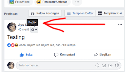 mengubah status facebook menjadi publik agar bisa dilihat semua orang