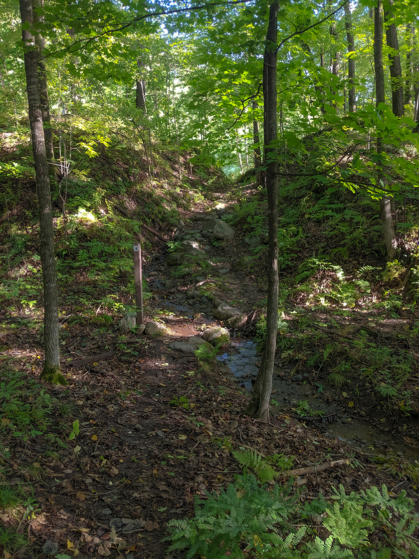 Ice Age Trail Chippewa River Segment