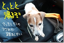 今日カズ１００６２５　１０