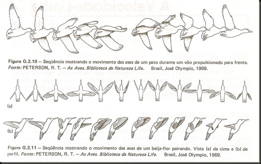 digitalizar0004