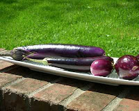 left to right, Chinese eggplant, Japanese eggplant & Indian eggplant