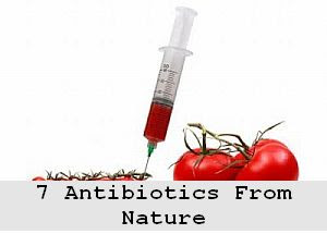 https://foreverhealthy.blogspot.com/2012/04/let-food-be-your-medicine-7-antibiotics.html#more