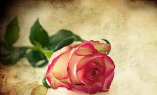 sumber gambar : https://pixabay.com/id/illustrations/jantung-mawar-rindu-kelopak-merah-1271213/