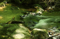 Olšinka/The Olšinka River