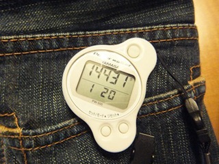 001dev-DSCF4868