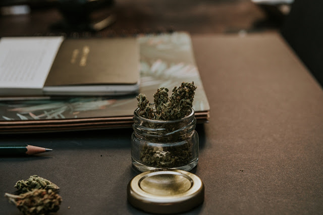 Different Strains of Cannabis: Know the Right Type For Your Pain
