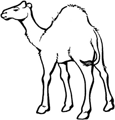 Camel Coloring Pages (5)