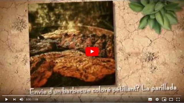 Recettes pour barbecues et plancha