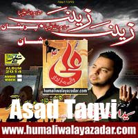 http://ishqehaider.blogspot.com/2013/11/asad-taqvi-nohay-2014.html