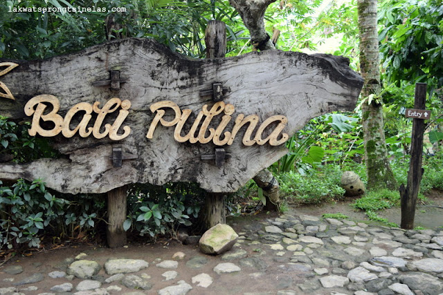 BALI PULINA: A MORNING OF LUWAK COFFEE