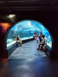 Manila Ocean Park's Living Ocean