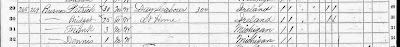 Patrick Burns family in 1870 census