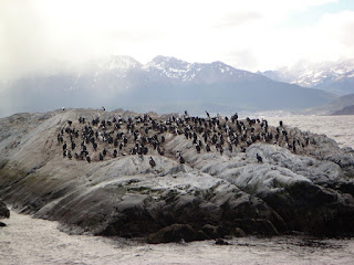 LACN - voyage - argentine