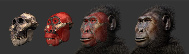 Судебно-медицинская реконструкция Paranthropus boisei