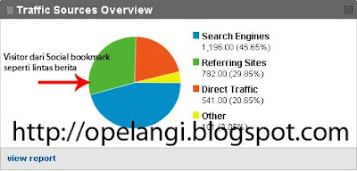 google analytic grafik