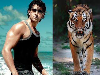 SPECIAL LOOKS OF HRITHIK