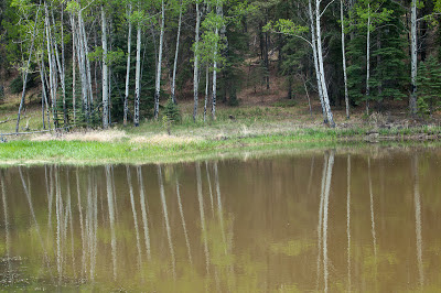 Twin Rock Trail, Florissant Fossil Beds National Monument