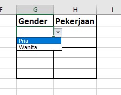 List in Excel