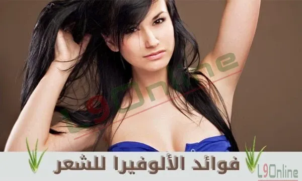 طريقة استخدام الوفيرا جل للشعر وأهم فوائده