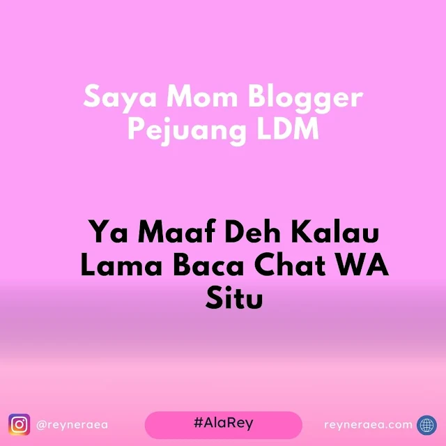 saya mom blogger pejuang ldm