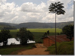 Early Mulindi 248