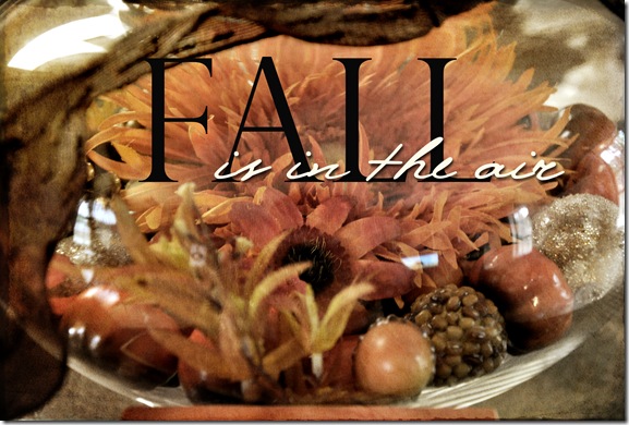 Fall in the air