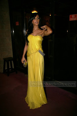 Koena Mitra in Hot yellow Dress gown at I Am She 2010 finals 