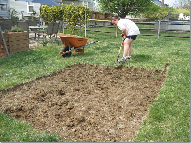 gardendig