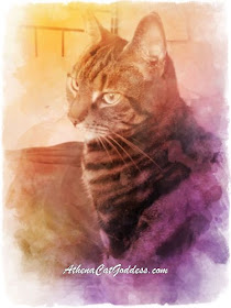 Caturday Art Blog Hop