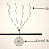 Multithreading models and its types, comparison between process and thread.