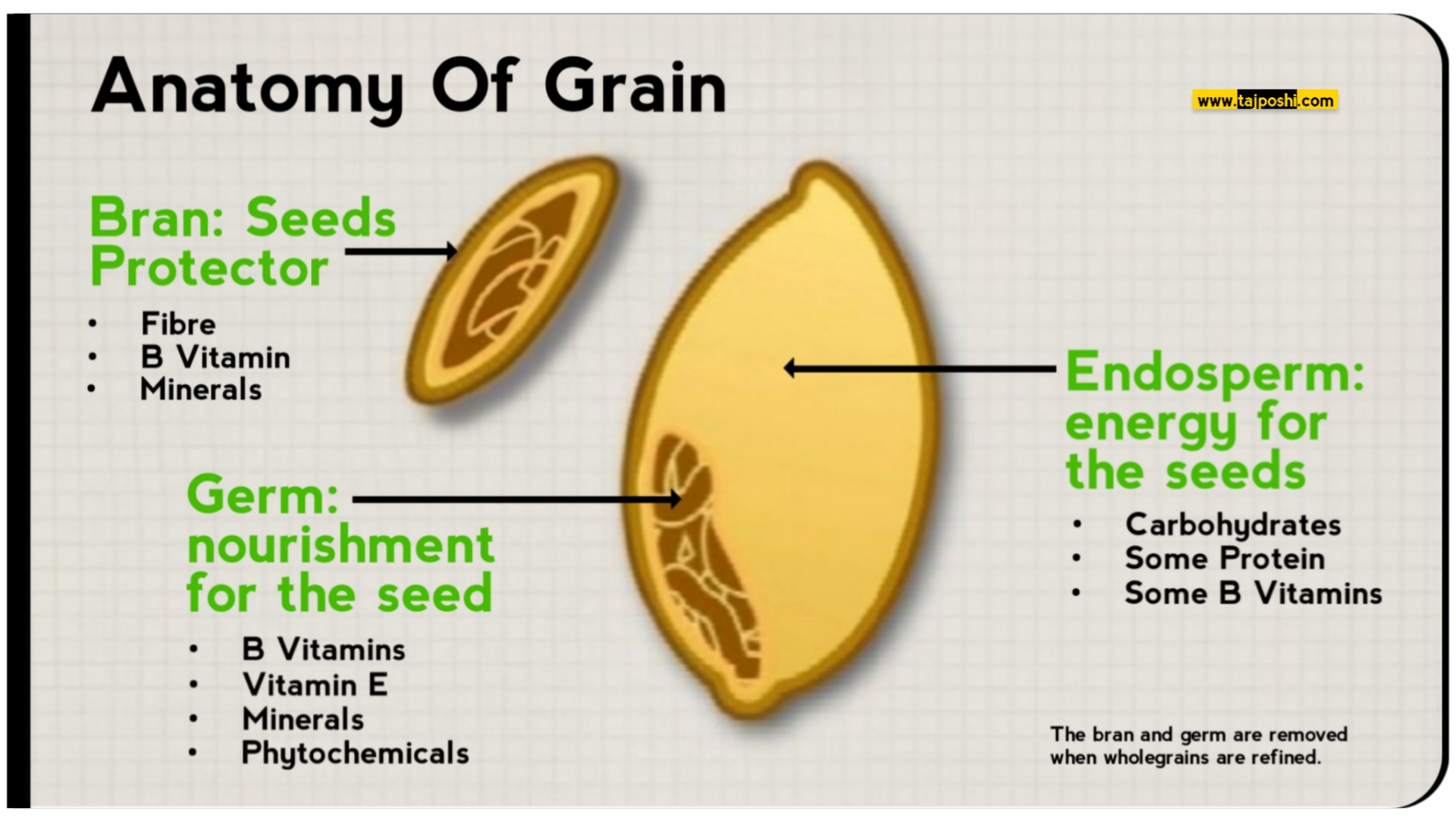 Anatomy of grain