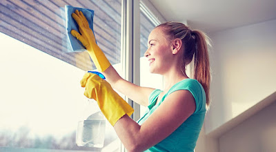 Amazing Tips How To Clean Window Screens