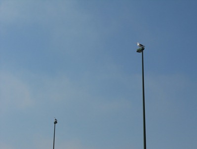 DSCN1722