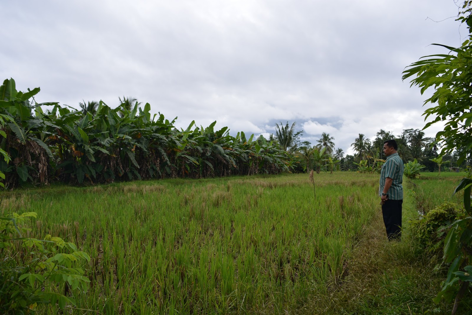 Jual Tanah Rumah