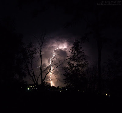 Lightning Striking at night with a Dead Tree silhouette in front of lightning thunder bolt