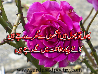 Phol Tu Phol Hain Aankhon Se Ghiray Rehte Hain