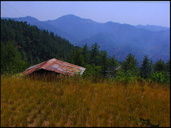 Mashobra, Shimla