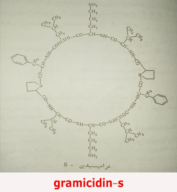  gramicidin-s Polypeptide antibiotics