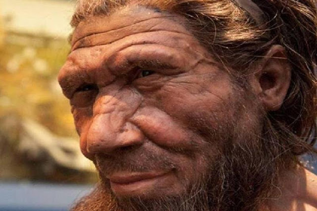 La selección natural y los neandertales: descubren gen que llevamos heredado y que afecta la forma de nuestra nariz