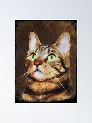 tabby cat artsy grunge poster