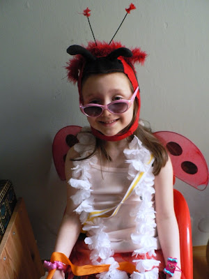 ladybug costume