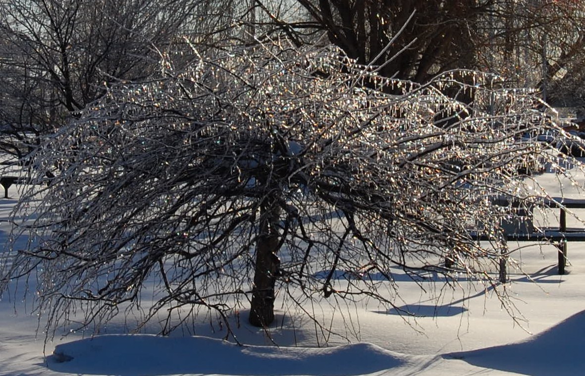 Ice storm in Monroe