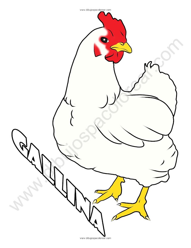 Dibujo de una Gallina a color o para colorear