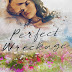 Capa Revelada/Cover Reveal:  Perfect Wreckage ( the Wecked #2) – Catherine Cowles